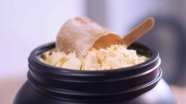 Quelles sont les meilleures protéines pour effectuer de la musculation ?